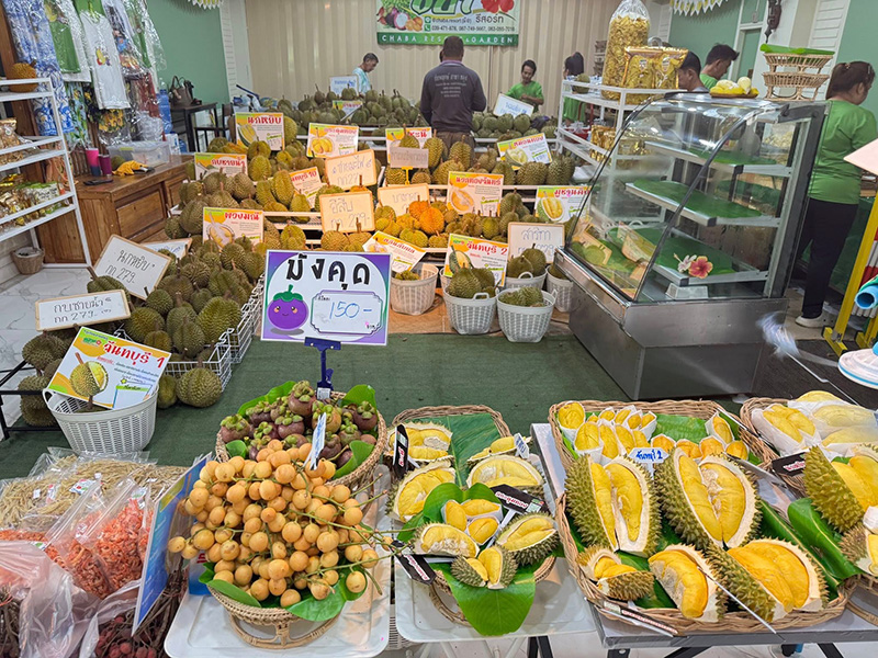 ชบา รีสอร์ท จันทบุรี เที่ยวสวนผลไม้จันทบุรี 2568