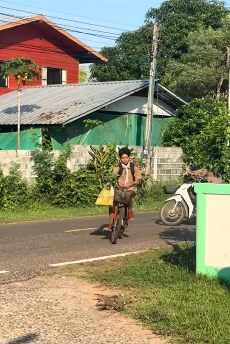 ปลูกต้นไม้