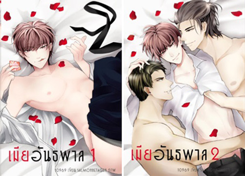 หนังสือนิยาย
