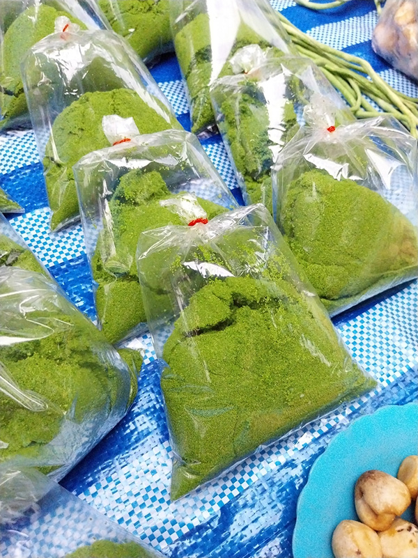 ไข่ผำ