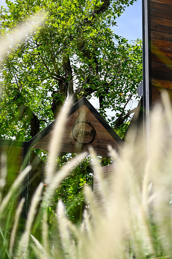 ร้าน Lae Cher De Cafe