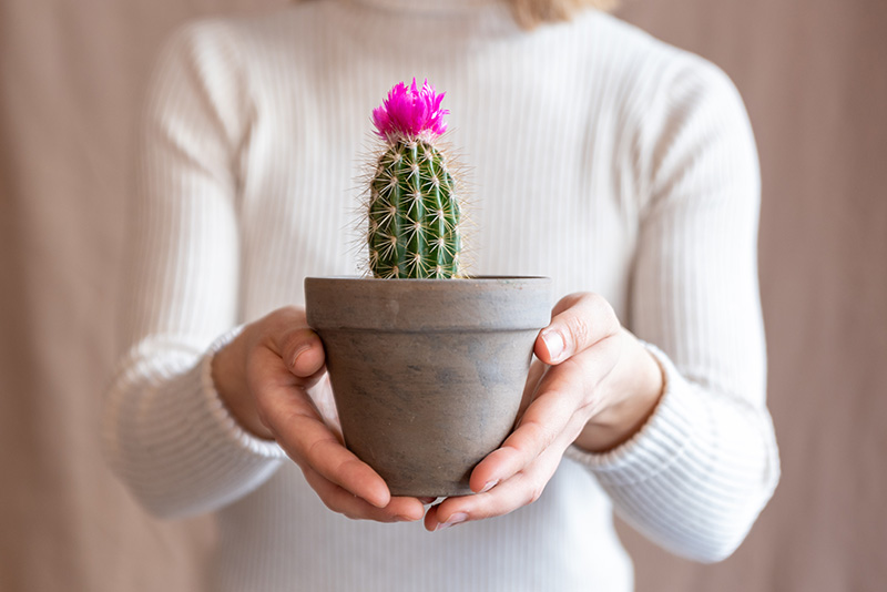 ของขวัญวาเลนไทน์ให้คนที่แอบชอบ ส่อง 10 ไอเดีย ให้อะไรถึงจะมัดใจเขา