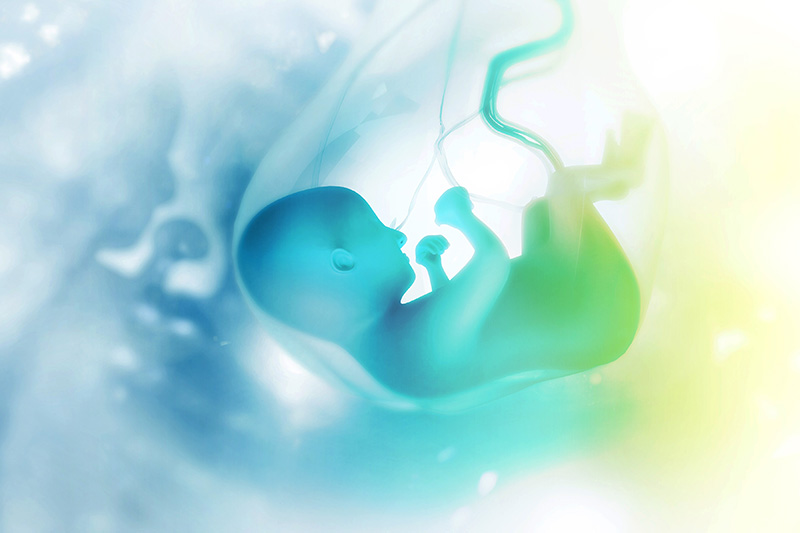 Fetal Distress คืออะไร