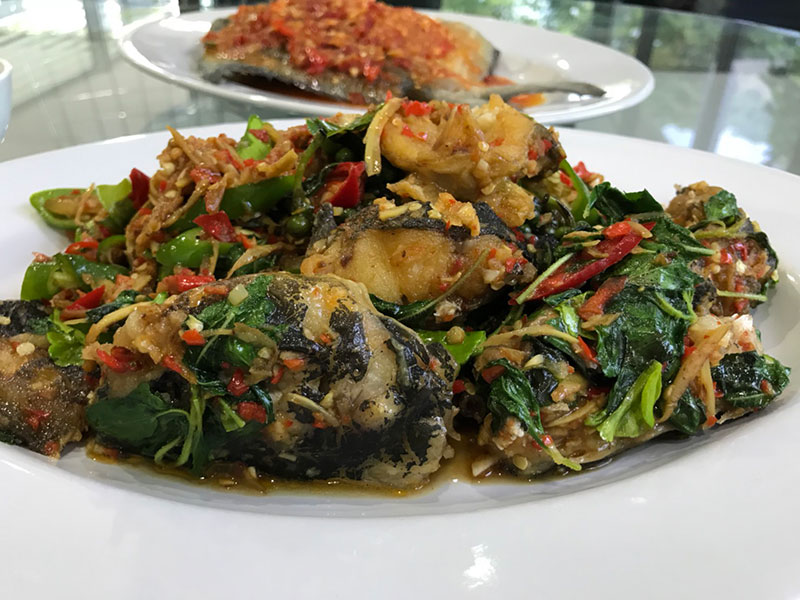 สูตรทำผัดปลาดุก