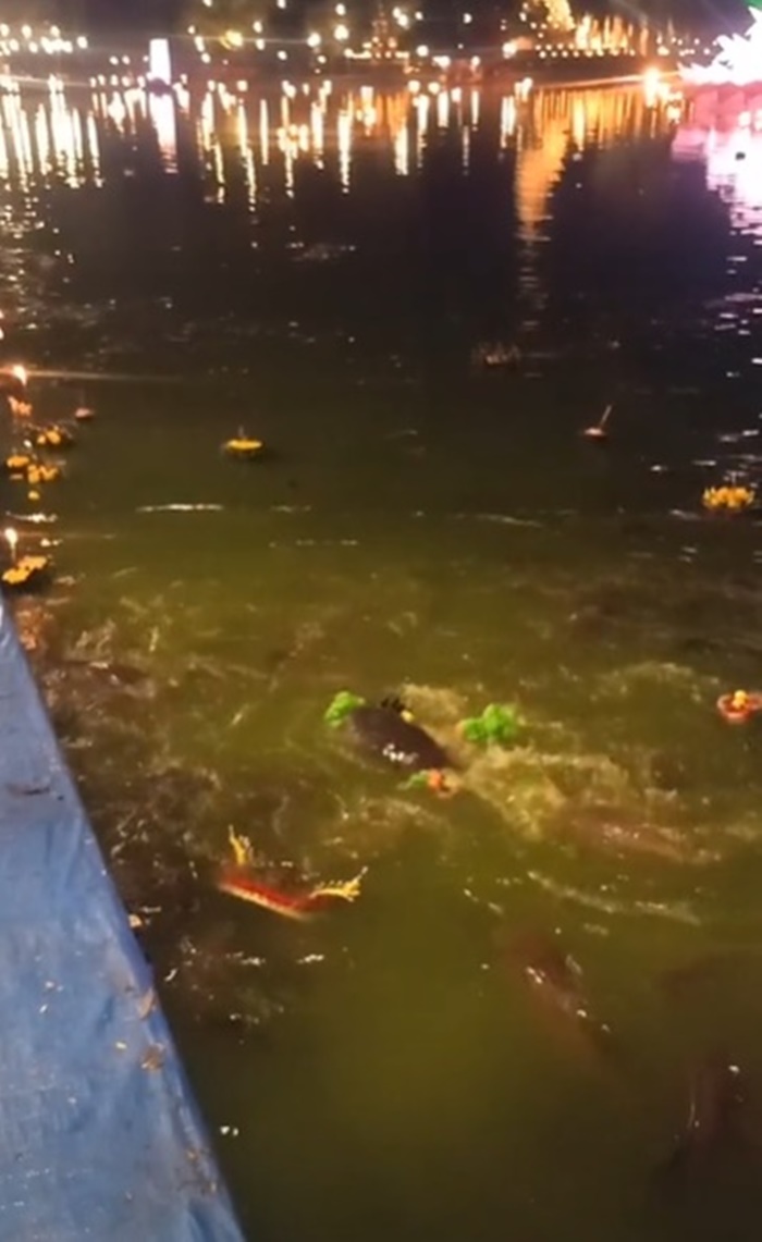 ลอยกระทง