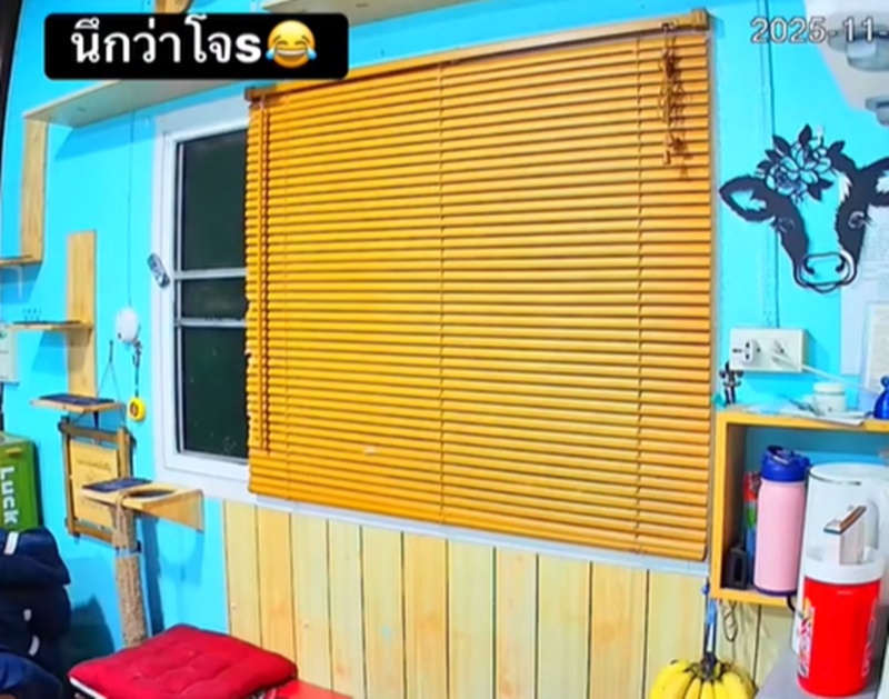 โจรทุบรถ