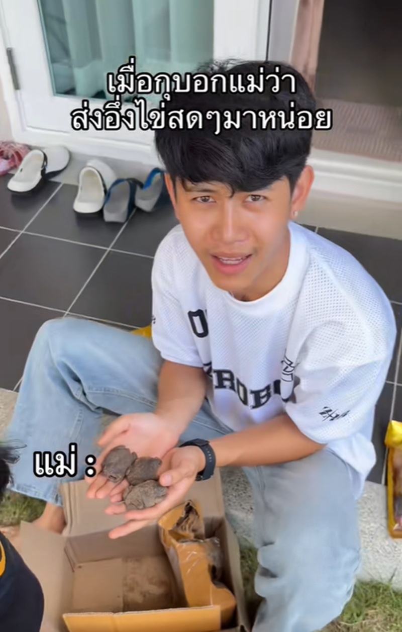 อึ่งไข่