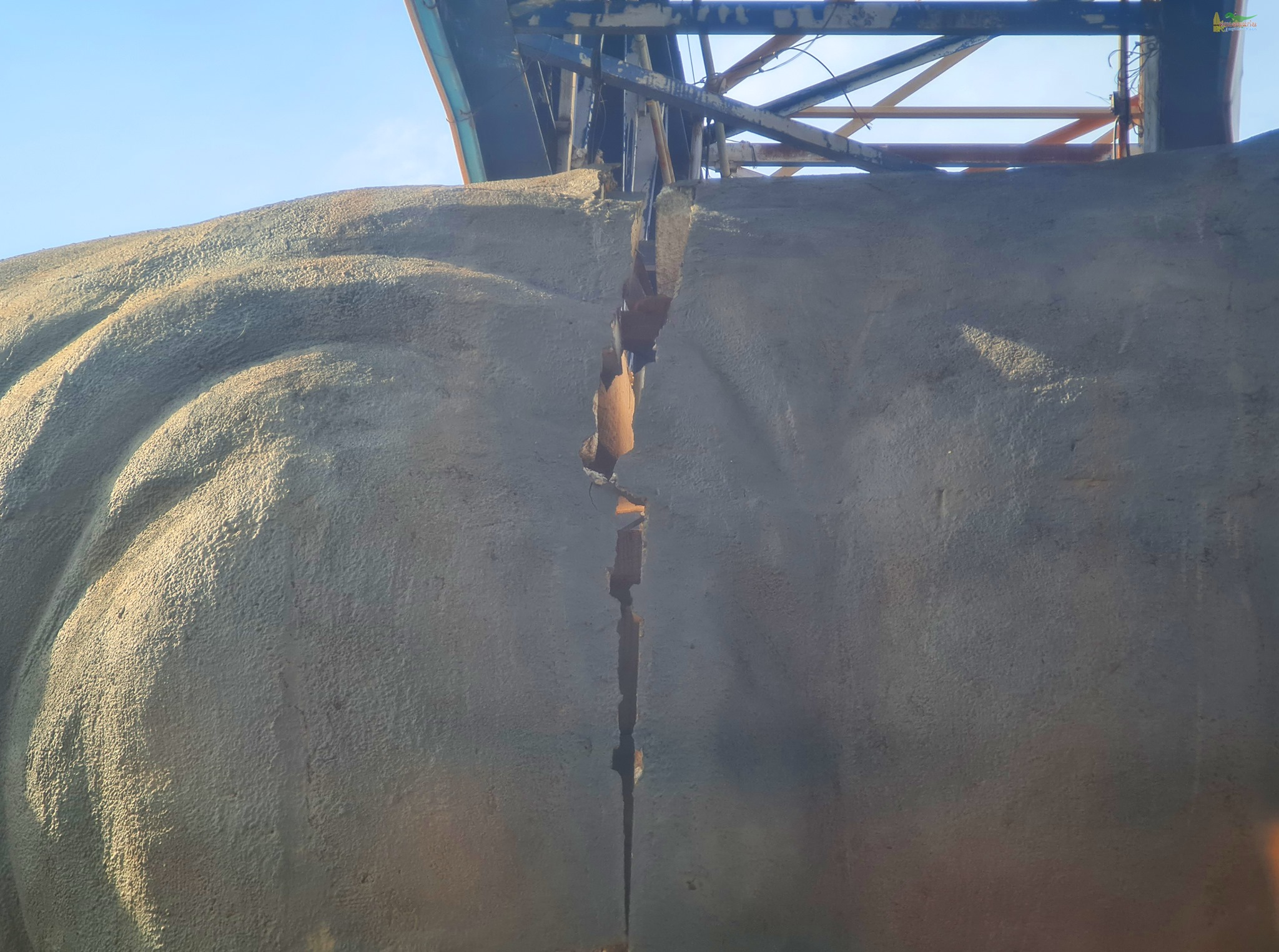 ไดโนเสาร์ขอนแก่น