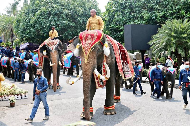 สวนนงนุช พัทยา