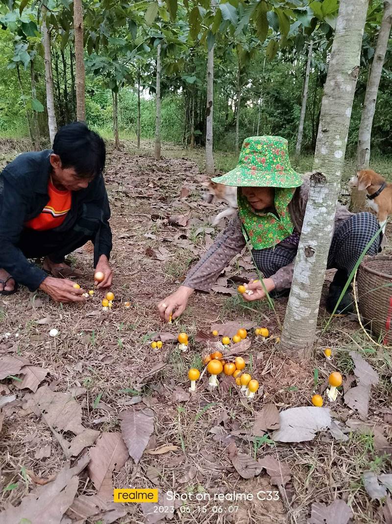 ก้อง ห้วยไร่ เห็นราคาเห็ดละโงก อึ้งเลย