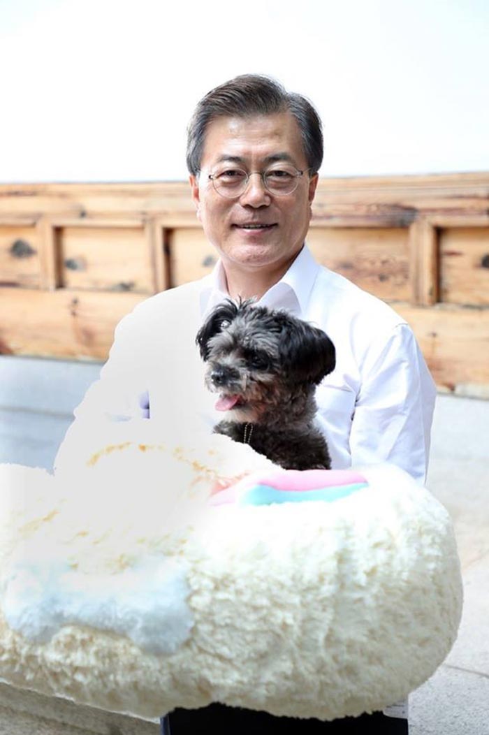 สัตว์เลี้ยงผู้นำ