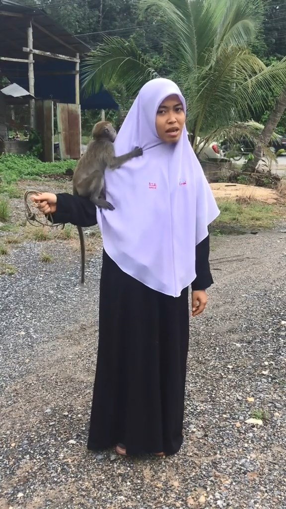 พรีเซ็นต์งาน