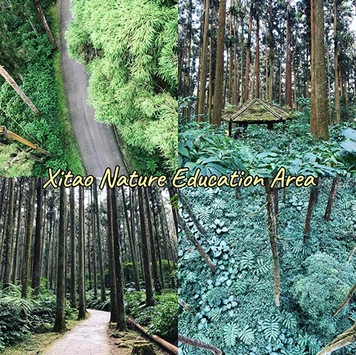 เที่ยวไต้หวัน