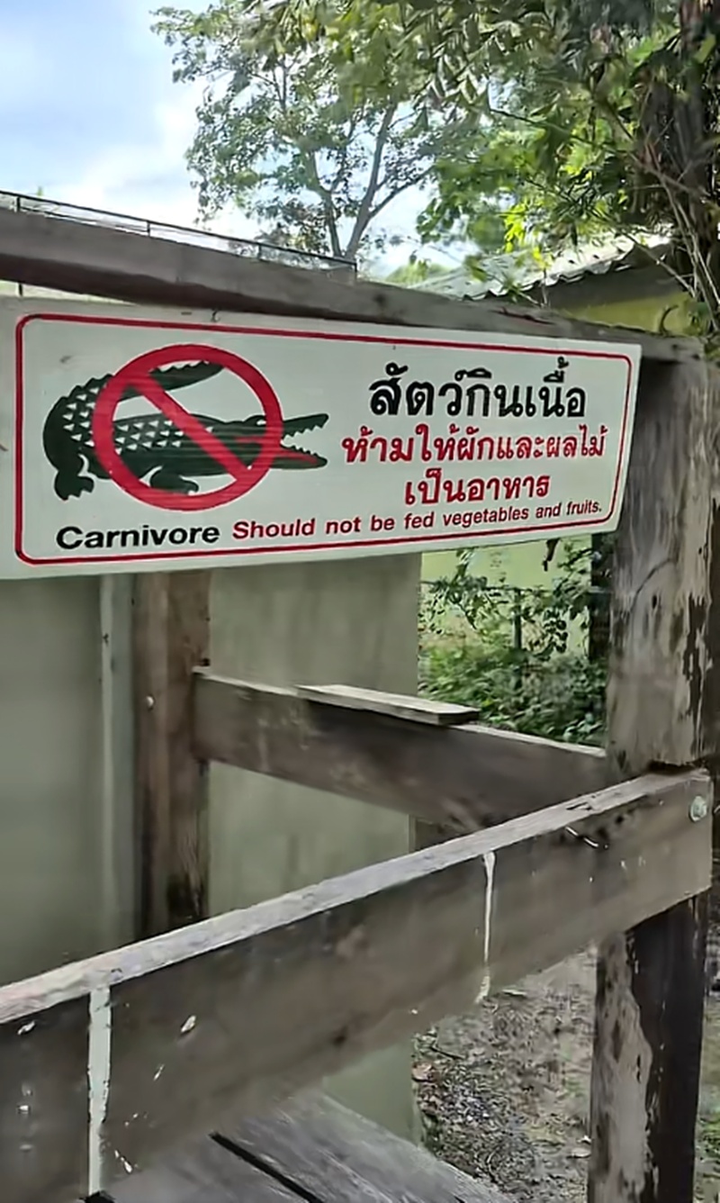 จระเข้