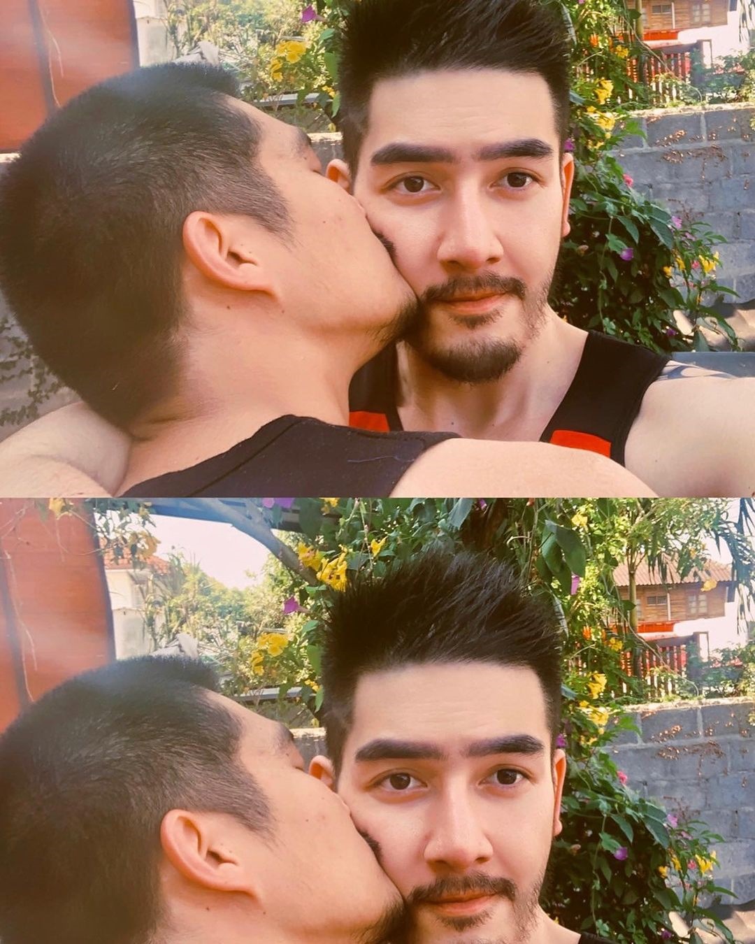 สิงโต เดอะสตาร์ 