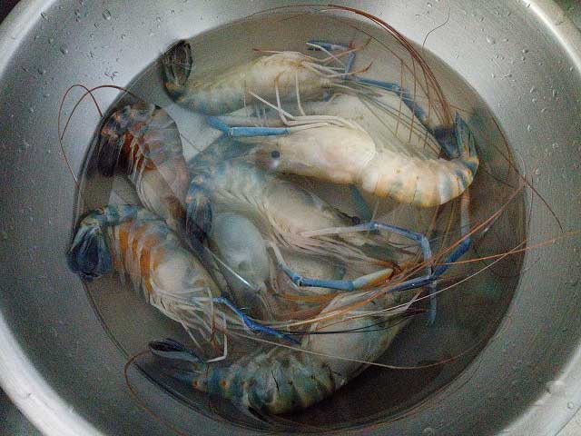 กุ้งอบเนยกระเทียม