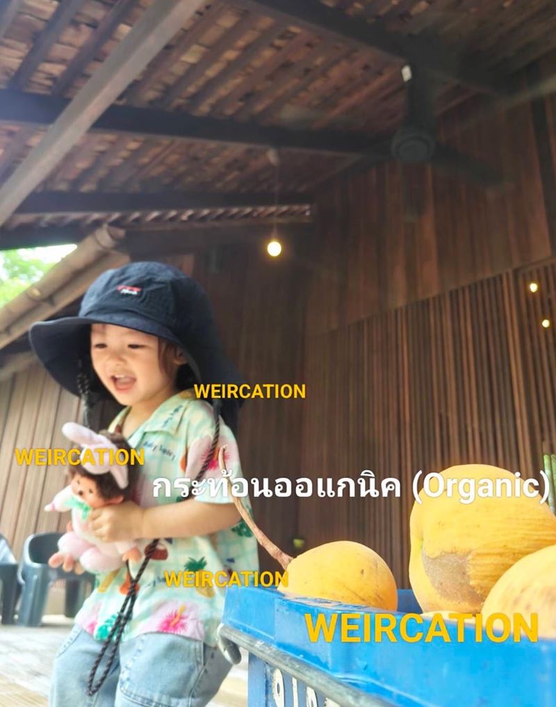 เวียร์ ศุกลวัฒน์