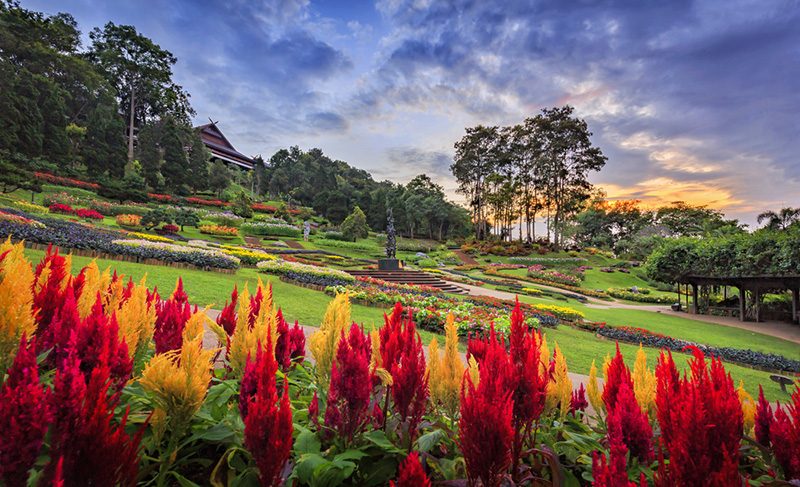 ดอยในเชียงราย