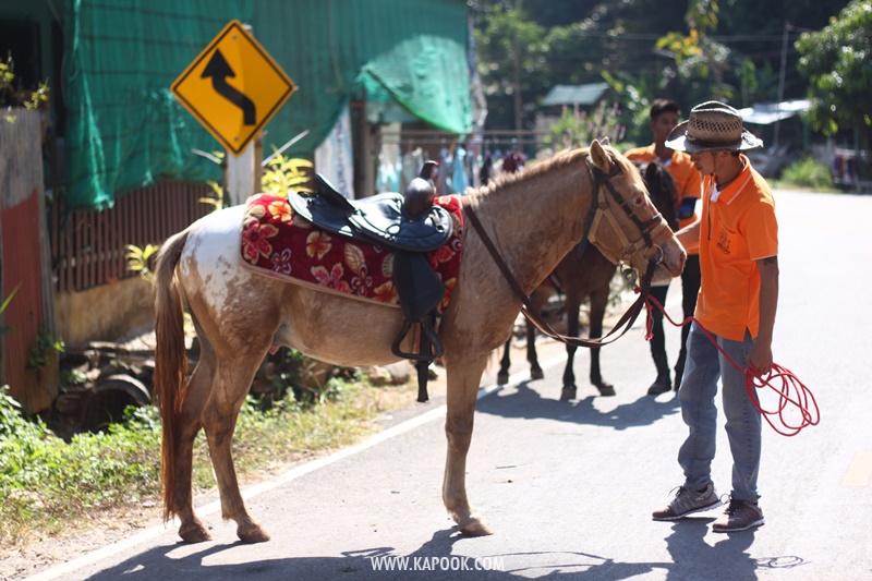 เที่ยวเชียงราย