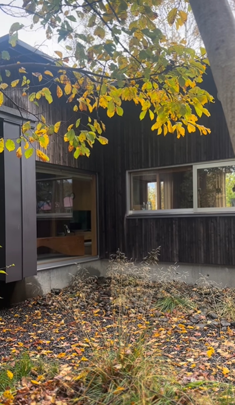 เคน หน่อย