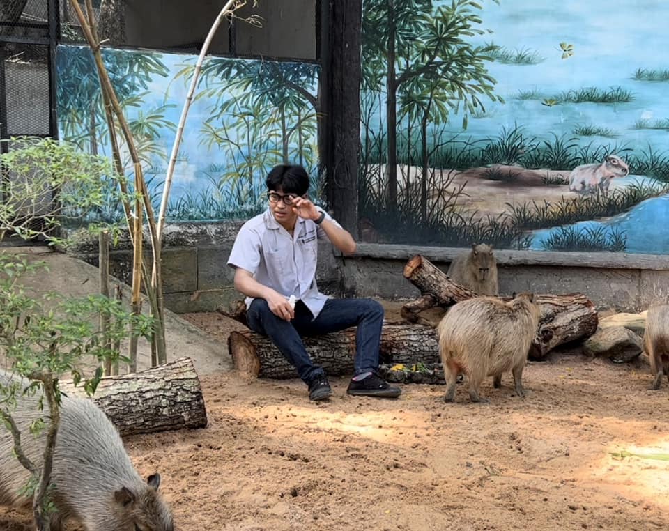 คาปิบารา