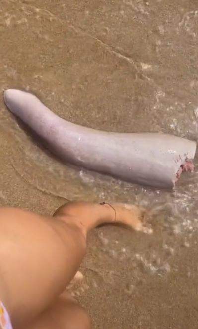 อวัยวะประหลาด