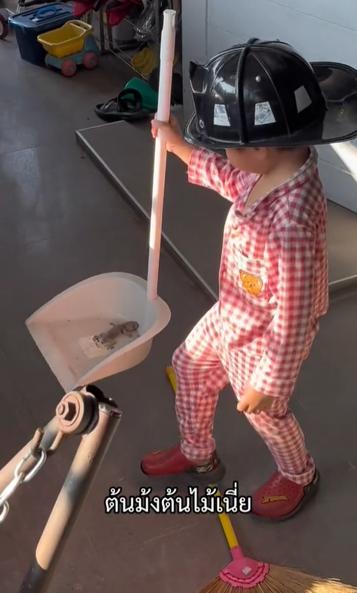 กำจัดตุ๊กแก