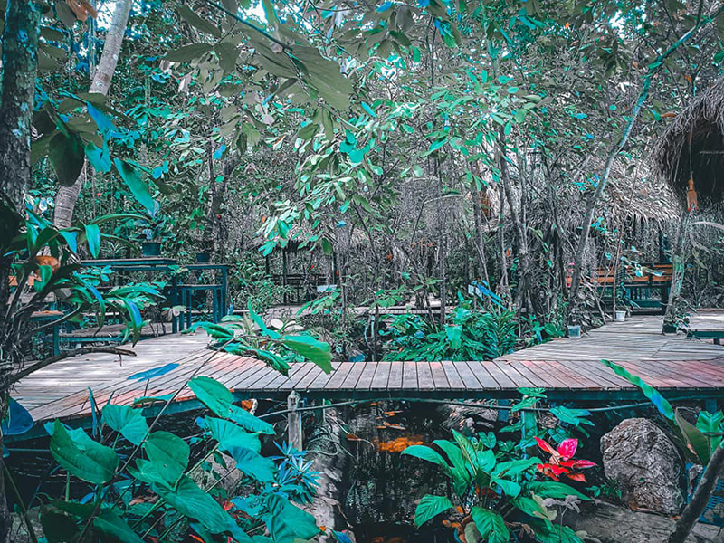 ชาโลม คาเฟ่แก่งกระจาน