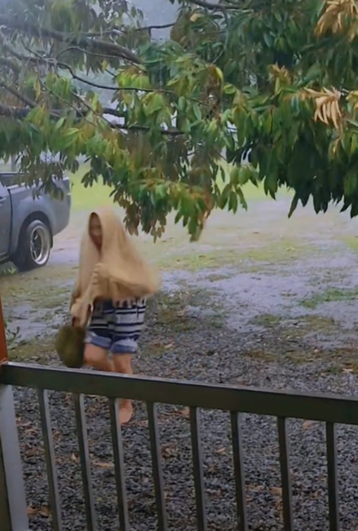 นอนรีสอร์ต