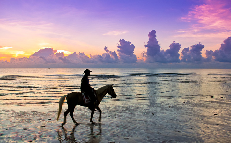 ที่เที่ยวเดือนกุมภาพันธ์ 66