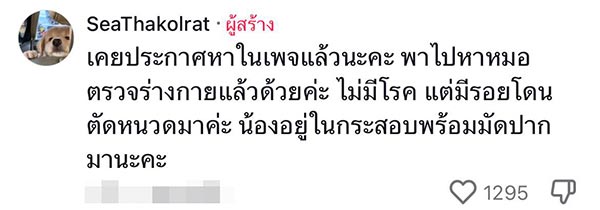 ช่วยแมวถูกทิ้ง