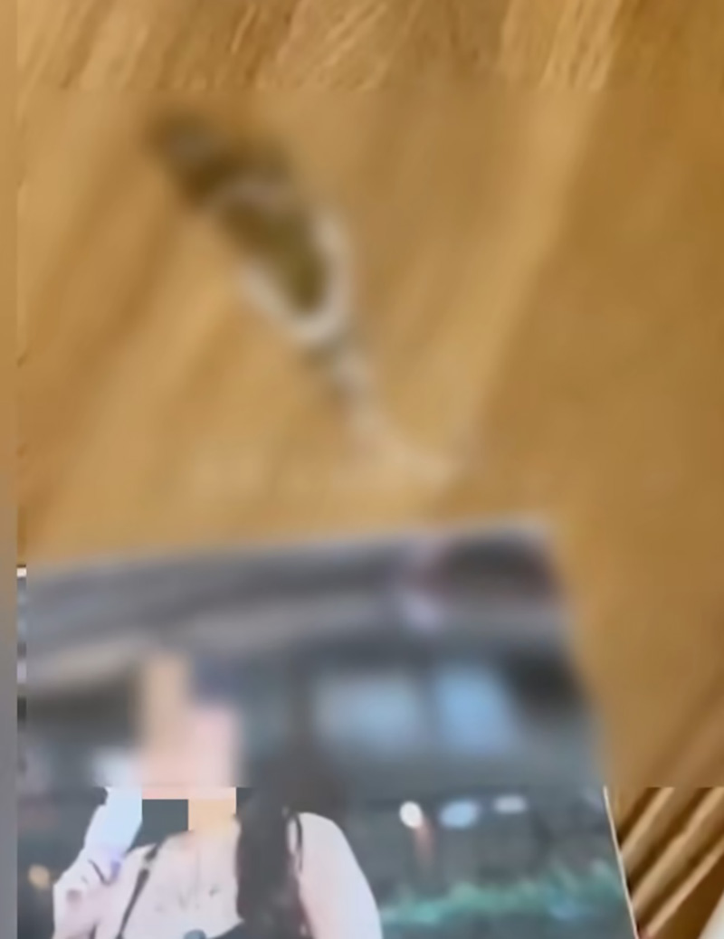 เปิดคลิปเสียง ผัวเก่า VS อินฟลู 