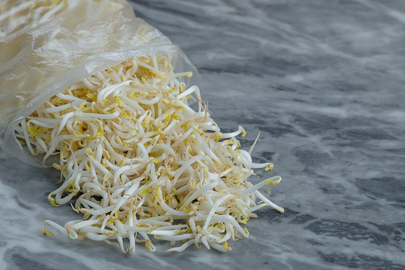 วิธีเก็บถั่วงอกให้สดนาน เรื่องอาหารน่ารู้อื่น ๆ 