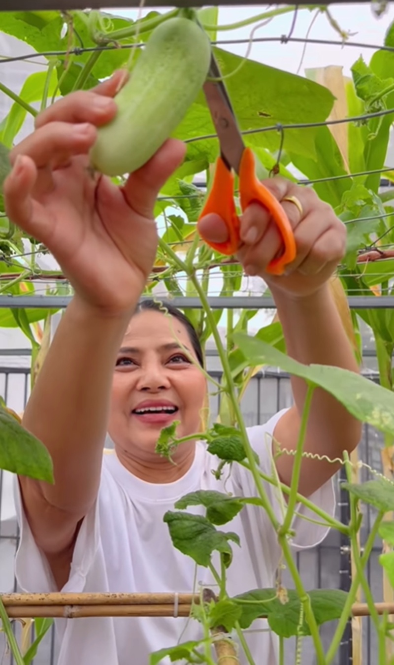 สุนารี ราชสีมา