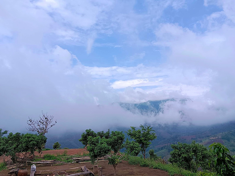 ดอยแม่มอญ เชียงราย