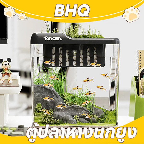 BHQ ตู้ปลาหางนกยูง