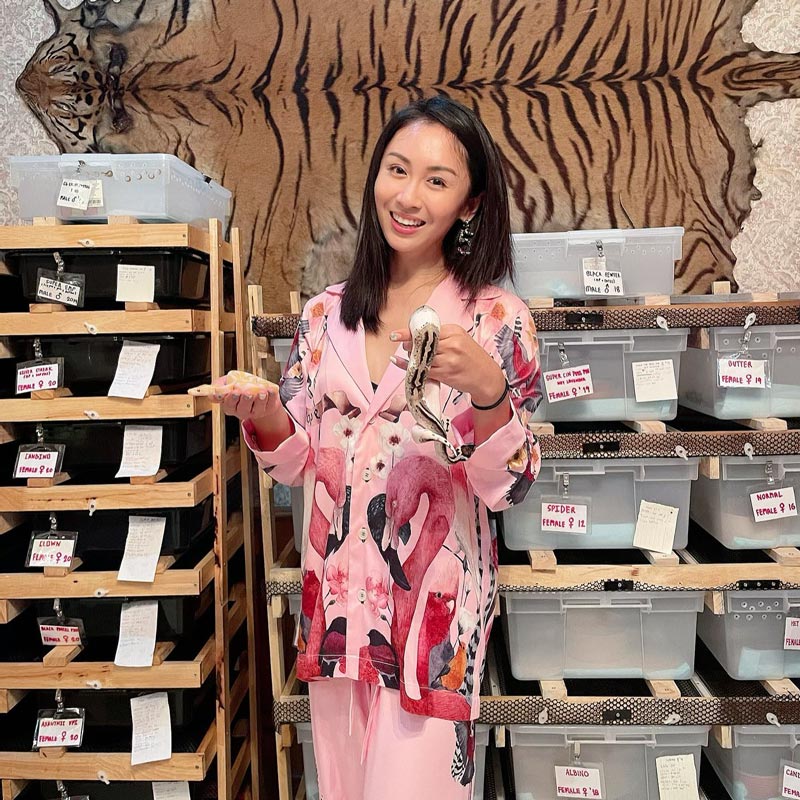 แซน วิศาพัช