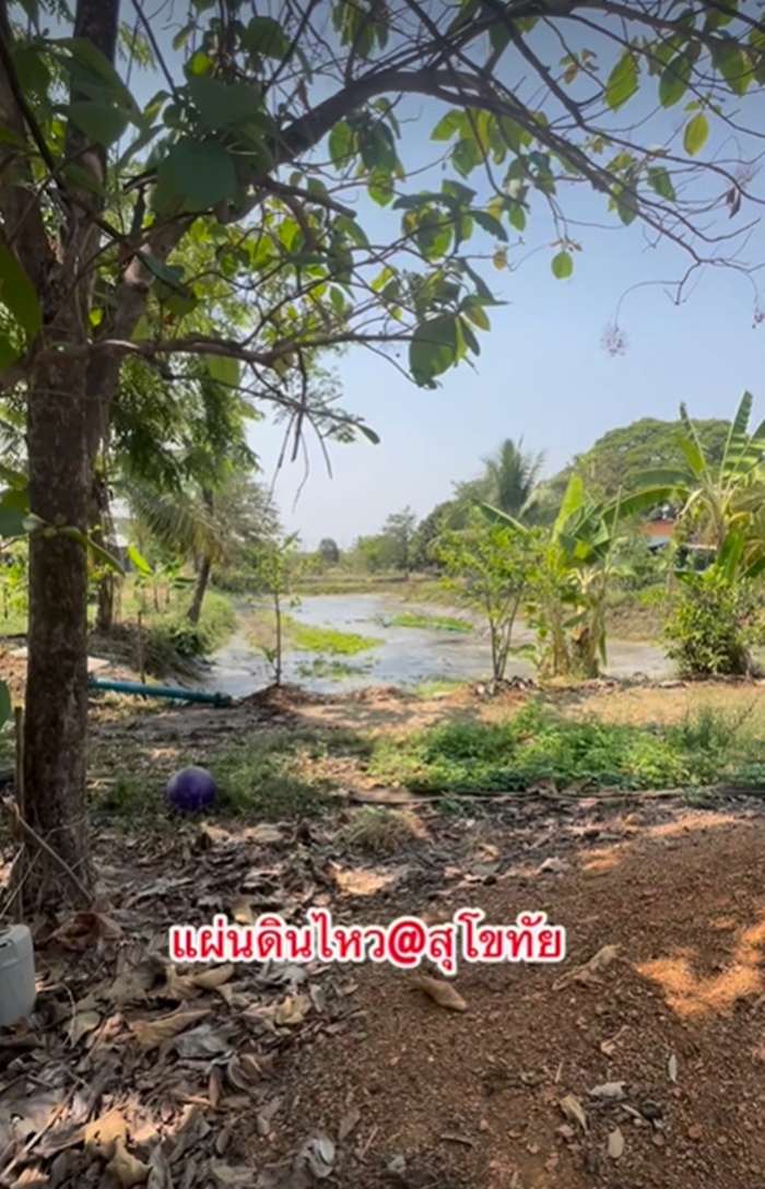 แผ่นดินไหว