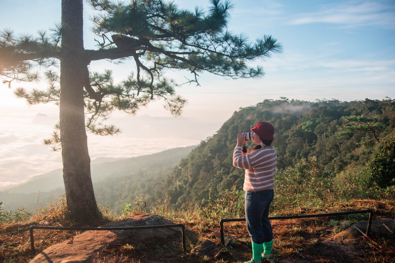 ภูกระดึง