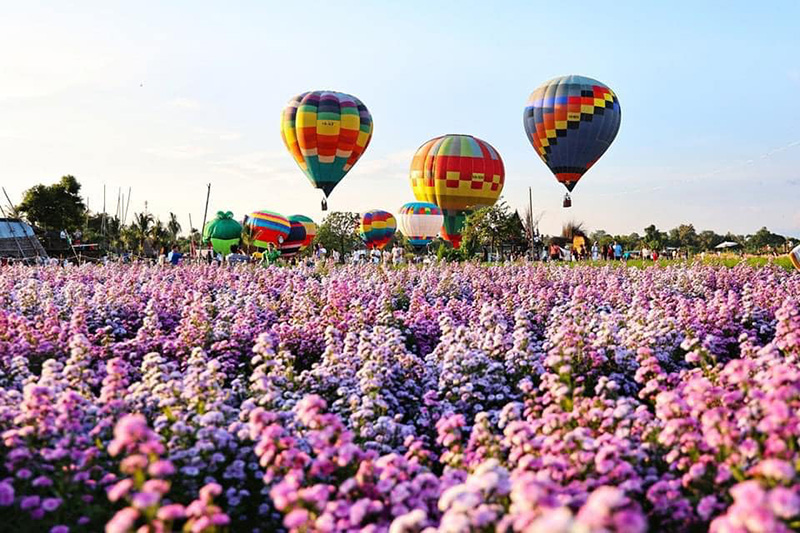 งาน Fun Fair Air Balloon Vol.1 งานบอลลูนผูกเชือกสัญจร สวนดอกไม้ป้านกเอี้ยง จังหวัดเชียงใหม่
