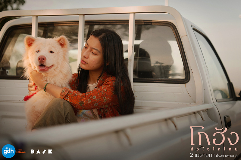 หนัง โกฮัง หัวใจโกโฮม หนังเกี่ยวกับสุนัข หนังใหม่ GDH 2569