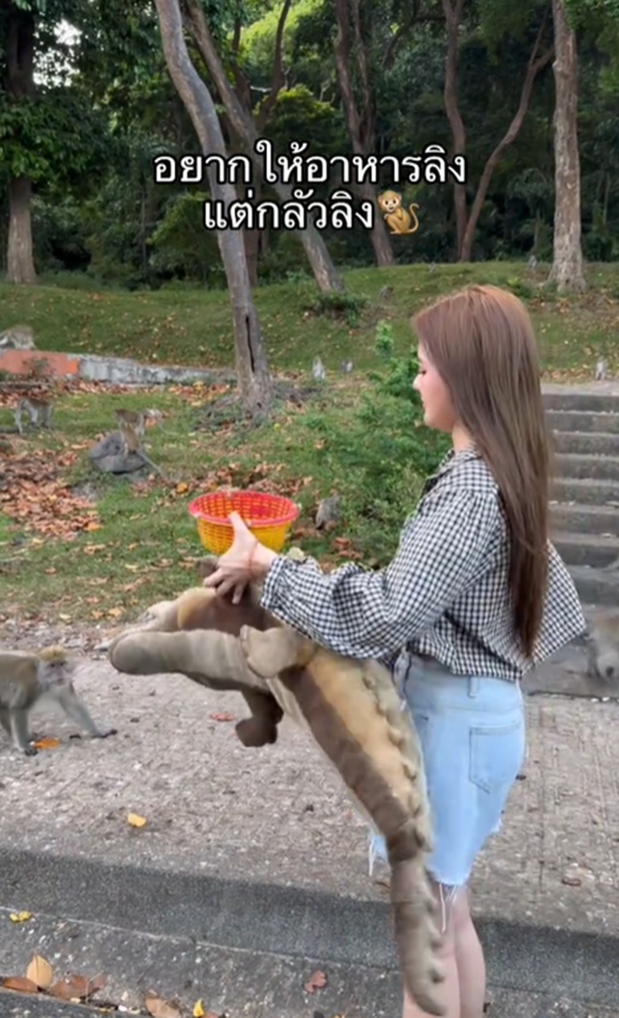 ให้อาหารลิง