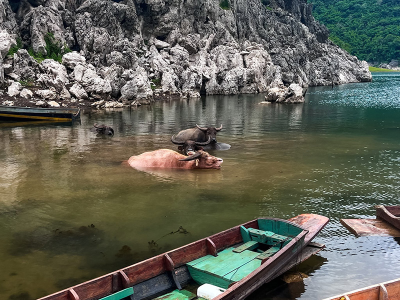 หุบเขาคลอรี่ ทองผาภูมิ