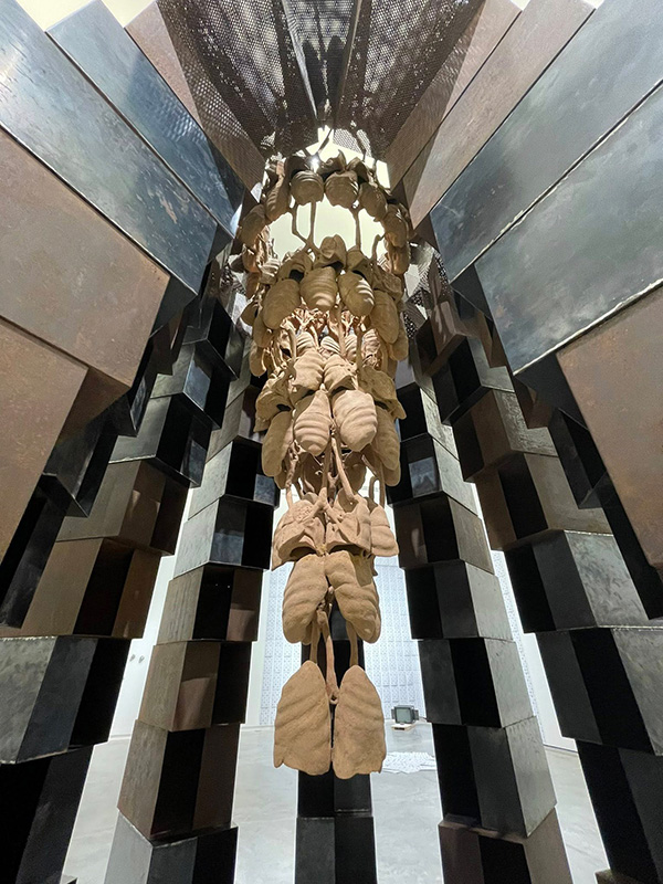 Dib Bangkok ดิบบางกอก