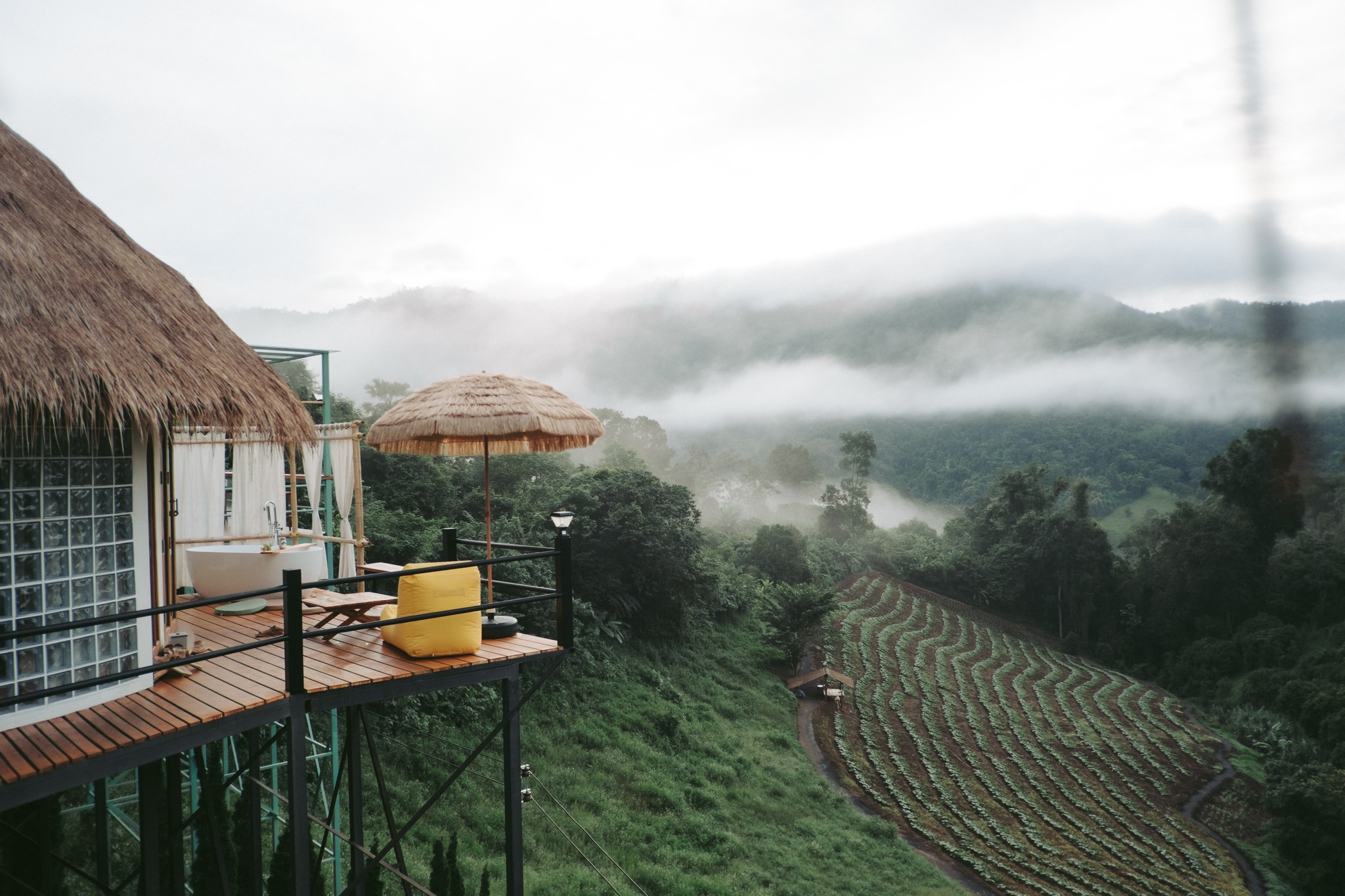 Cozy Wild
