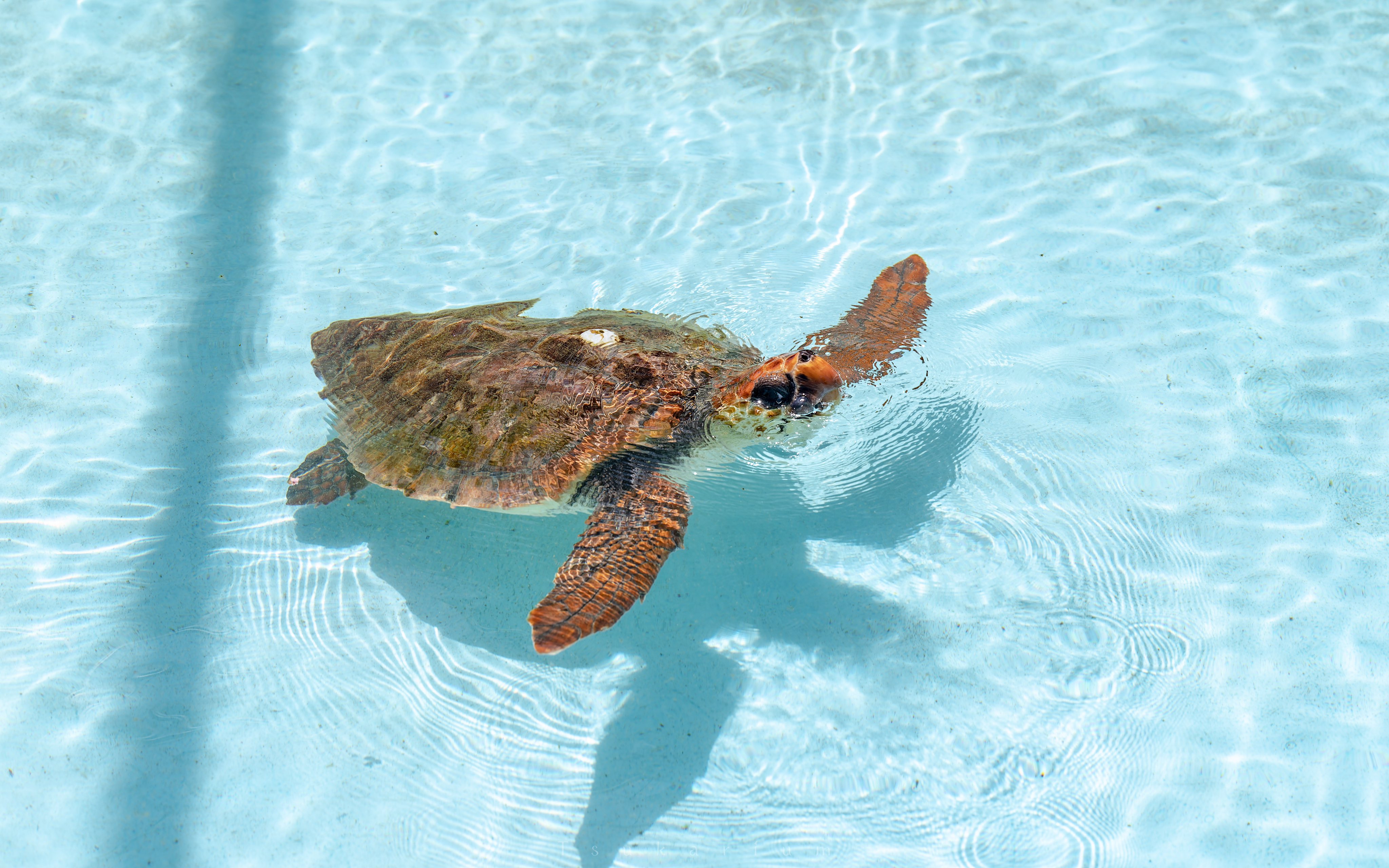 โรงเรียนร้าง
