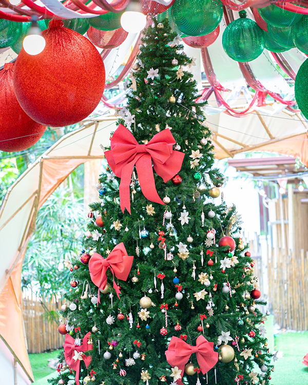 ไฟคริสต์มาส ปีใหม่ 2025-2026 Wonder Woods