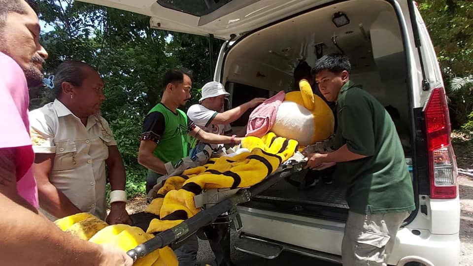 เสือโคร่ง