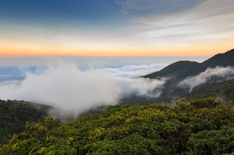อุทยานแห่งชาติเขาหลวง