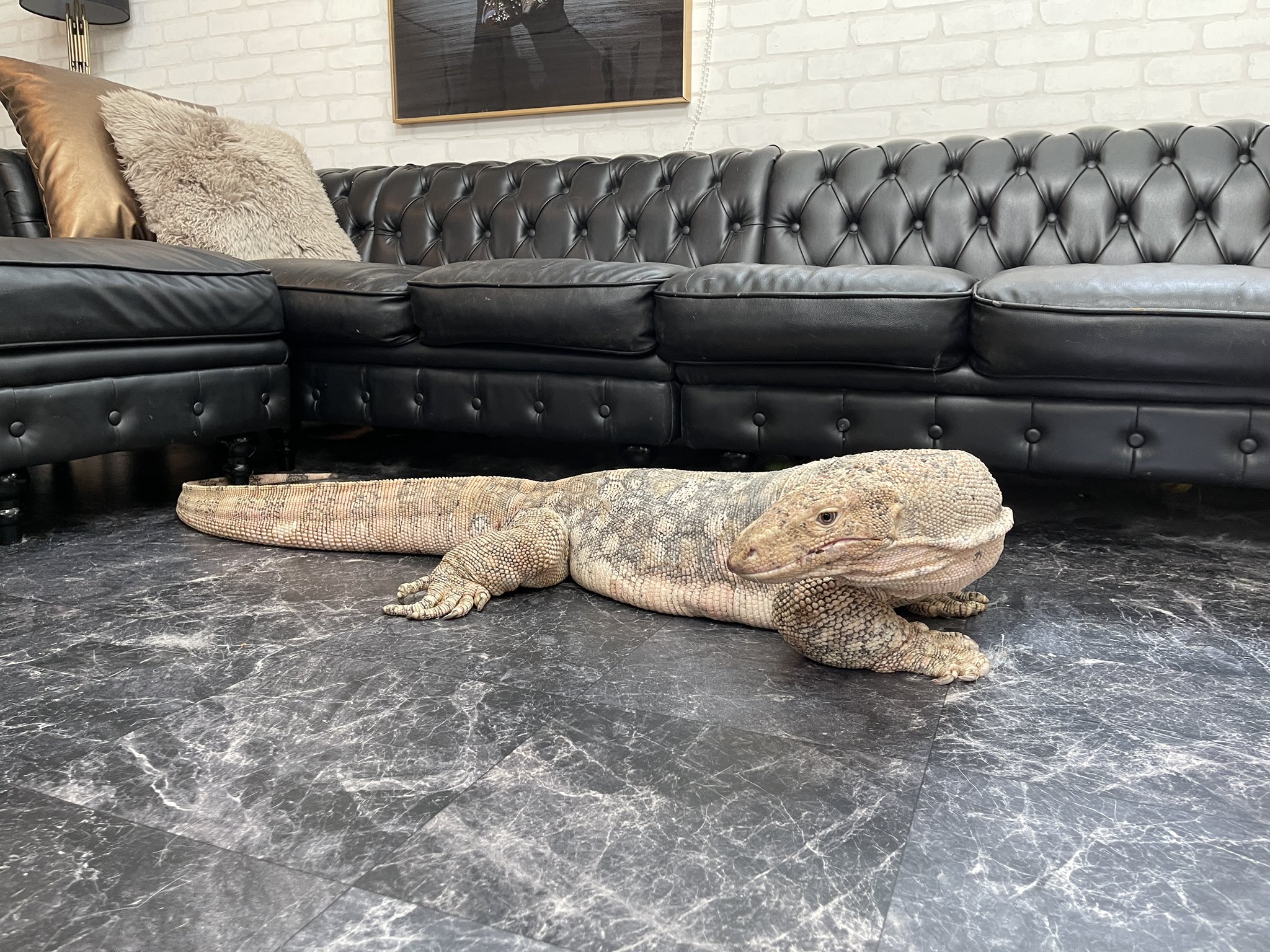 ตัวเงินตัวทอง